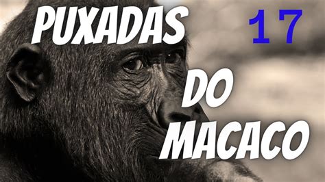 puxadas do macaco